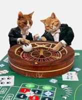 Roulette krabtafel voor katten - thumbnail
