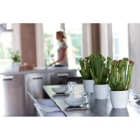 Elho brussels diamond round 14 white - thumbnail