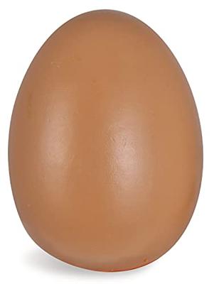 Eichhorn eieren in doosje