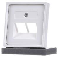 ELSO centrale plaat 366414 voor 2xRJ45 zonder JOY zuiver wit Meerdere kleuren 1 stuk(s)