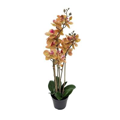 Phalaenopsis Orchidee in pot x3 60 cm Tiger Yellow kunstplant Buitengewoon de Boet - Buitengewoon de boet Phalaenopsis Orchidee in pot x3 60 cm Tiger Yellow kunstplant Buitengewoon de Boet - Buitengewoon de boet