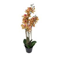 Phalaenopsis Orchidee in pot x3 60 cm Tiger Yellow kunstplant Buitengewoon de Boet - Buitengewoon de boet - thumbnail