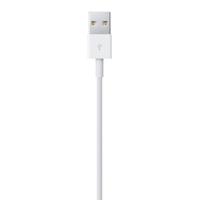 Apple Lightning-naar-USB-kabel (0.5 m) - thumbnail
