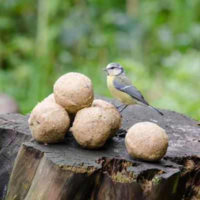 Vetbollen no mess met pinda - 6 stuks Vetbollen no mess met pinda - 6 stuks