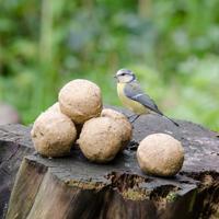 Vetbollen no mess met pinda - 6 stuks - thumbnail