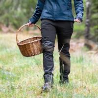 Pinewood® Damesbroek Finnveden Hybrid Extreme Trousers W's, zwart/d.antraciet, Maat: 38S - thumbnail