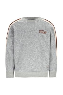 Like Flo winter sweater jongens - grijs - Dail