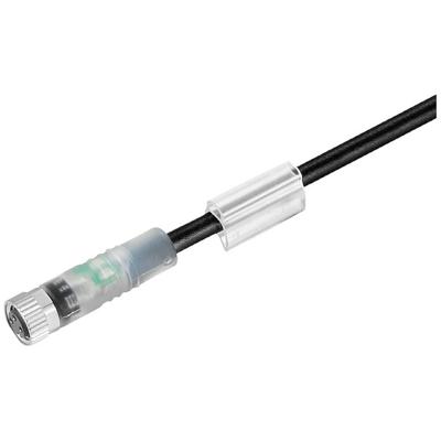 Weidmüller 1444180150 Sensor/actuator connector, geassembleerd M8 Aantal polen (sensoren): 3 Bus 1.50 m 1 stuk(s) Weidmüller 1444180150 Sensor/actuator connector, geassembleerd M8 Aantal polen (sensoren): 3 Bus 1.50 m 1 stuk(s)
