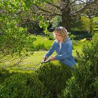PrecisionCut buxusschaar Gardena - Gardena - thumbnail