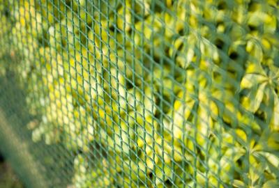 Nature tuinscherm vierkant gaas 5x5 mm 1x3 m groen