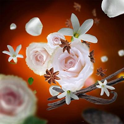 Maison Berger Navulling - voor geurbrander - Aroma Relax - 500 ml