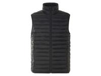 esmara Men Heren bodywarmer (Zwart, XL) - thumbnail