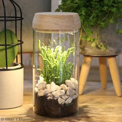Ideas4seasons Pot|vaas voor ecosysteem - LED verlichting - D8 x H18 cm