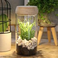 Ideas4seasons Pot|vaas voor ecosysteem - LED verlichting - D8 x H18 cm - thumbnail