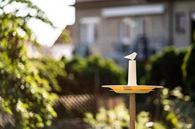 Finch Vogelbad ø 32 cm - olijfgroen