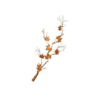 Serip - Wand wandlamp - thumbnail