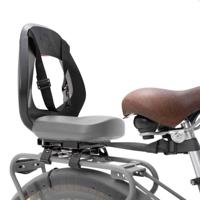 Yepp Kinderzitje achter thule junior budget - zilver - thumbnail