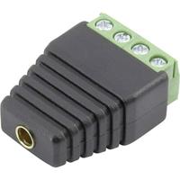 Conrad Components 93013c1126 Laboratoriumbus Koppeling, recht Stift-Ø: 4 mm Zwart 1 stuk(s) - thumbnail