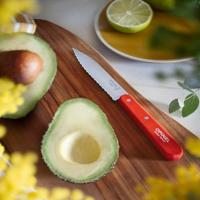 OPINEL - N.113 - Kartelmes 10cm kartel Naturel - thumbnail