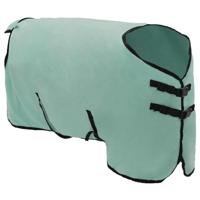 VidaXL Paardendeken speciale groen polyester - thumbnail
