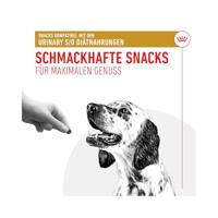 Royal Canin Urinary Treats hondensnack 2 x 230 g - thumbnail