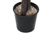 Boomstructuur Home ESPRIT Polyester Hout 80 x 80 x 180 cm - thumbnail