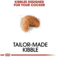 ROYAL CANIN Adult Cocker - droog hondenvoer - 12 kg - thumbnail