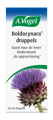 Boldocynara