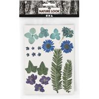 Creativ Company Gedroogde bloemen en bladeren blauw, 19dlg. - thumbnail