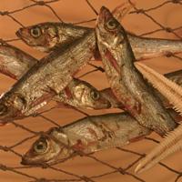 alsa-nature Oostzee haring, 250 g - thumbnail