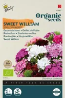 Bio dianthus. duizendschoon mix 1g - thumbnail
