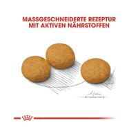 Royal Canin Medium Dermacomfort hondenvoer 3 kg - thumbnail