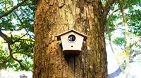 Brinno MAC200 - Motion Activated Camera - thumbnail