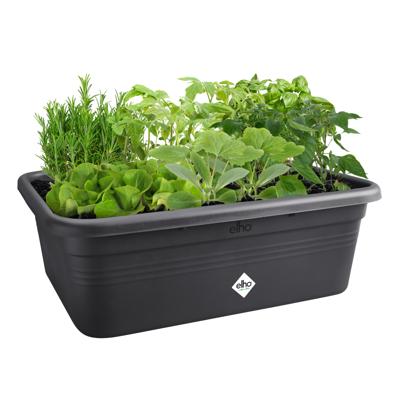 Elho Green Basics Jardin De Cultivation L bloembak - Zwart - L 76 x B 57 x H 27 cm - buiten kweken en oogsten - 100% gerecycled