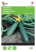 Zaden Courgette Diamant F1 origineel Peto-strain Buzzy - Buzzy - thumbnail