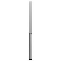 vidaXL Werkbankframes verstelbaar 2 st 55x(69-95,5) cm metaal grijs - thumbnail