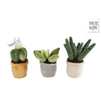 Take Me Home plant pluche 12-17cm - thumbnail