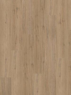 Hoomline Laminaat - Fusion Superior XL Gotham Oak Natural 107526