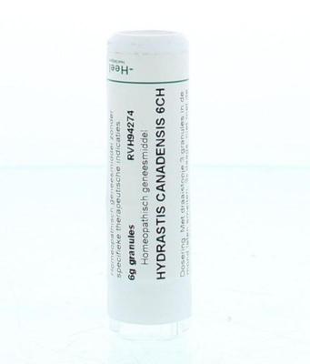 Homeoden Heel Hydrastis canadensis 6CH 6 Gram Homeoden Heel Hydrastis canadensis 6CH 6 Gram
