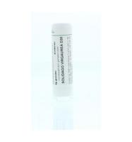 Homeoden Heel Solidago virgaurea D30 6 Gram - thumbnail