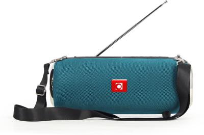 Draagbare Bluetooth speaker Petrol + FM Radio