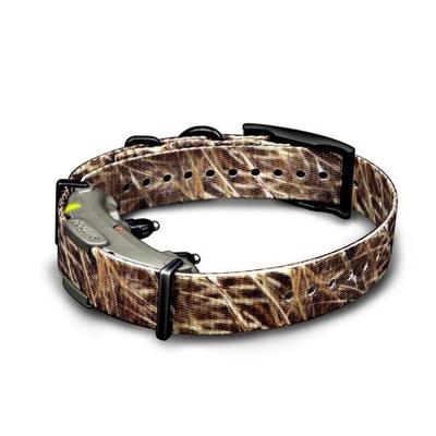 Dogtra halsband ARC 800 " 802 Camo