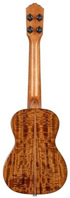 Ortega RUET-ACA Elite Series Concert Size Ukulele Acacia elektrisch-akoestische concert ukelele met gigbag
