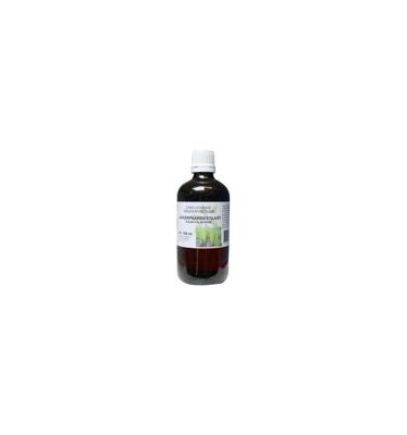 Cruydhof Equisetum arvense / akkerpaardestaart tinctuur 100 Milliliter Cruydhof Equisetum arvense / akkerpaardestaart tinctuur 100 Milliliter