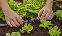 GARDENA micro-drip-system t-stuk voor sproeiers verbinding (donkergrijs) - thumbnail