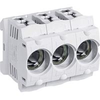 Hager LD046 HAGER LD046 zekeringhouder Zekeringen 3-polig 63 A 400 V 1 stuk(s) - thumbnail