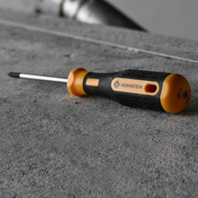 BERNSTEIN Tools for Electronics EUROline-Power Schroevendraaierset Werkplaats 6-delig Plat, Kruiskop Pozidriv