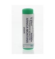 Homeoden Heel Arnica montana 200K 1 Gram - thumbnail