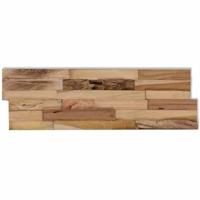 Wandpanelen 10 st 1,03 m hergebruikt teakhout - thumbnail