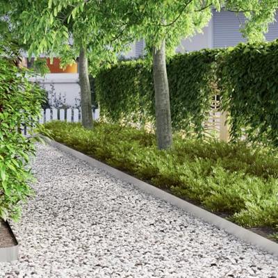 Tuin Grasperkafwerking Zilver 450 x 10 cm Roestvrij staal